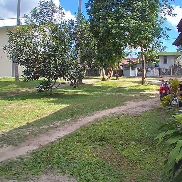 Mimi Guest House Syariah Pangkalan bun Luaran gambar
